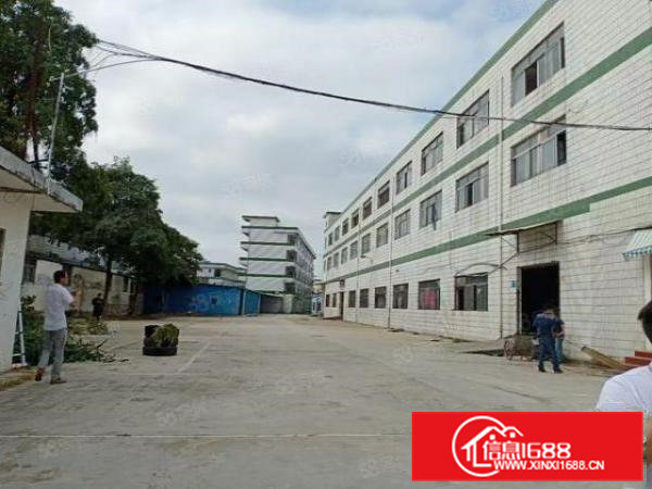 雁田靠近五联1一2楼4000平，500平起分