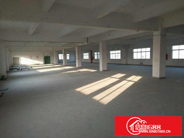 坪山坑梓全新厂房8000平方独院招租，可分租