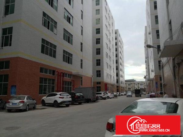 凤岗竹尾田全新厂房出租每层2800平方可以分租好谈