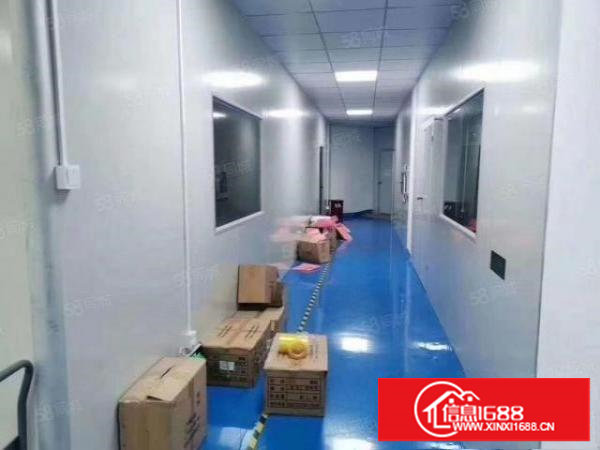 咸西新出二楼带豪华装修1000平方米厂房出租