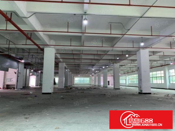 六约一楼450平方5米高业主直租空地大免费停车