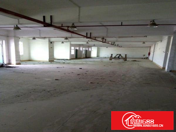 5元厂房出租寮步镇.