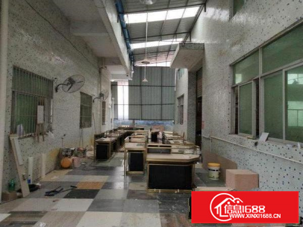 惠阳秋长新出2200平独门独院可喷油钢结构厂房