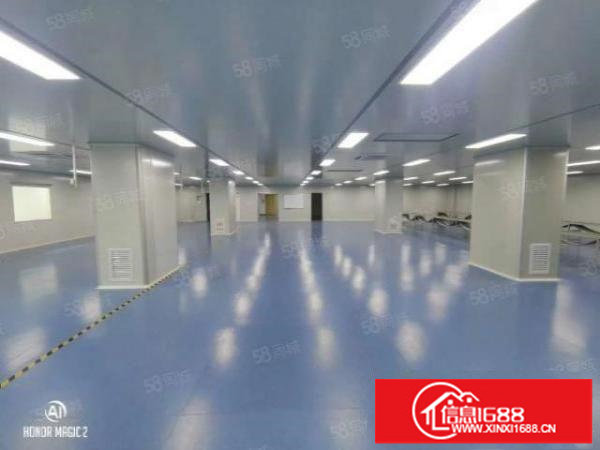 松岗无尘车间1718平，全新装修，原房东厂房