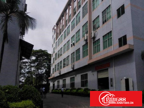 观澜松元环观中路国道边上二楼4300平方厂房带装修