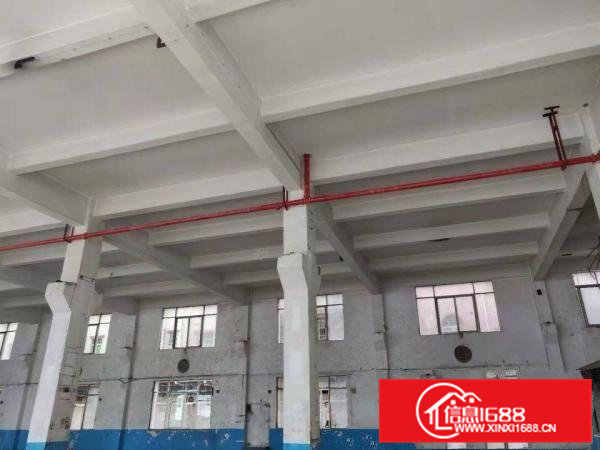 常平国际创新港高层高7米全新厂房出租,带牛角可行车可环评