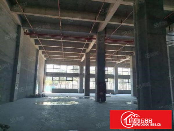 常平原房东一手物业无公摊带精装厂房配套齐全