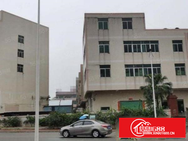 石排标准厂房出租，有土地证，工业厂房，具有消防栓和喷淋!