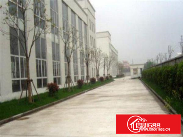 万江新出楼上850方带豪华装修出租