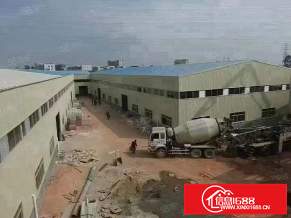 常平全新独门独院单一层钢构厂房招租