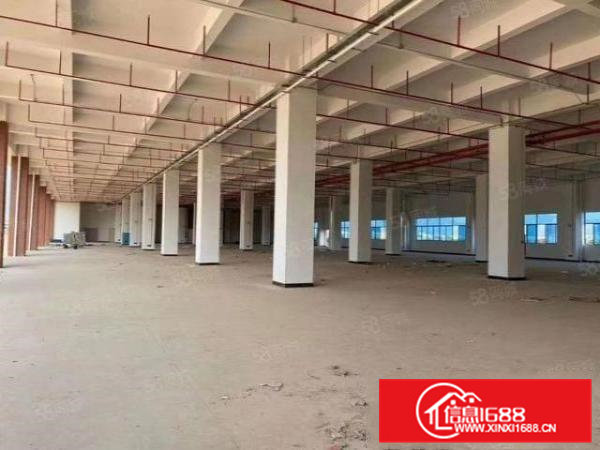 全新工业园标准厂房35000平米带多部电梯龙平路边业主直租