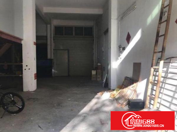 房东直租龙岗碧新路主干道路旁厂房仓库特价