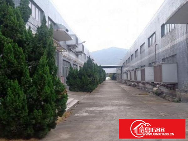 大岭山新出原房东直租独院厂房60000平米，5年合同出租