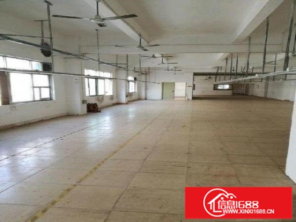 横岗安良550平米原房东厂房低价出租