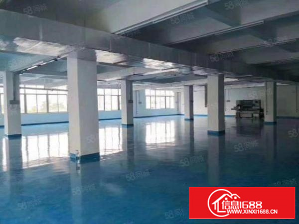 石碣镇工业区独院厂房一楼1200方目前做自动化的干净带装修