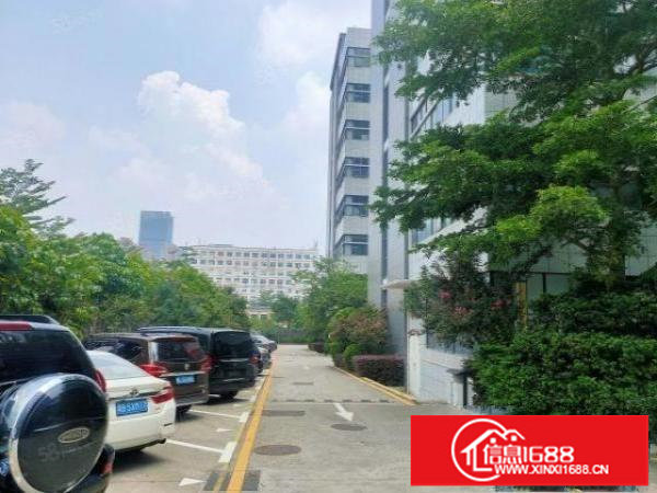 光明红本工业园2万平独栋仓库厂房出租精装修2000平可分租