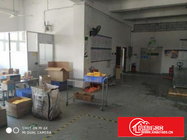 沙井步涌900平厂房出租采光好无中介送3间宿舍