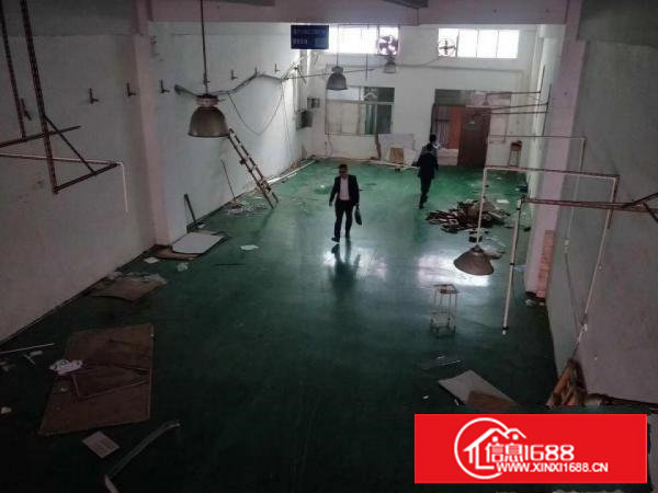 长安新安大桥下空出一楼350平厂房出租