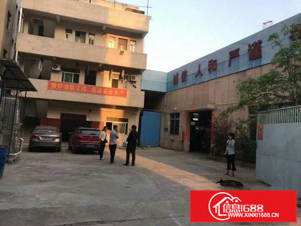 惠阳秋长1600平独院钢构带地坪漆高8米空地超大