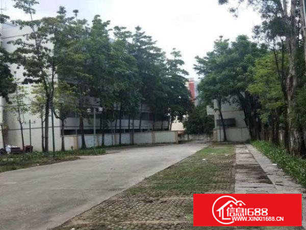 桥头镇新出超大空地标准独院厂房16000平方任意分租