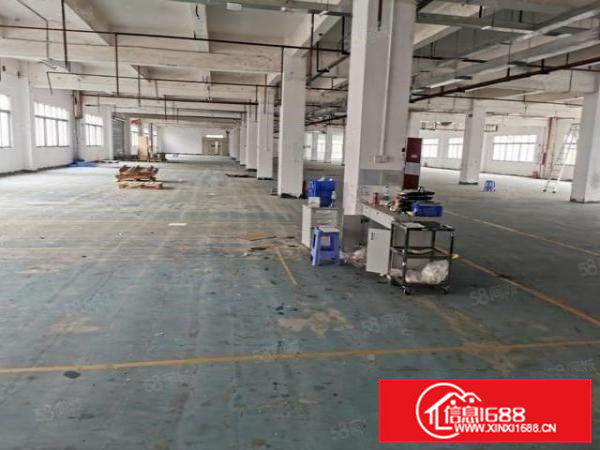 大朗原房东独院13000平