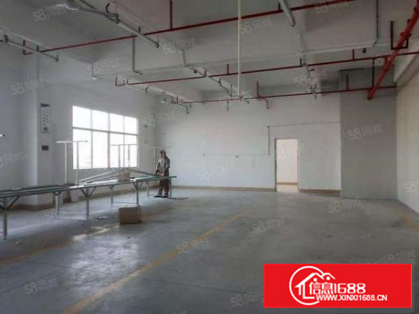 塘厦石鼓新出原房东标准厂房1000平方，价格便宜，可以分租！