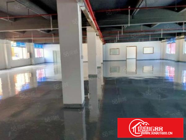 横沥镇村尾村工业区新出二楼整层带现成装修厂房