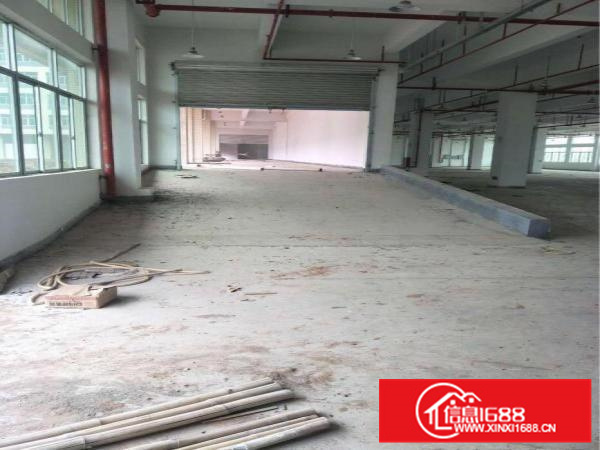 陈江13000平全新厂房独院，带国有红本