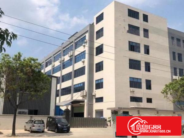 东莞桥头新出精装办公室1728平方，水电齐全，