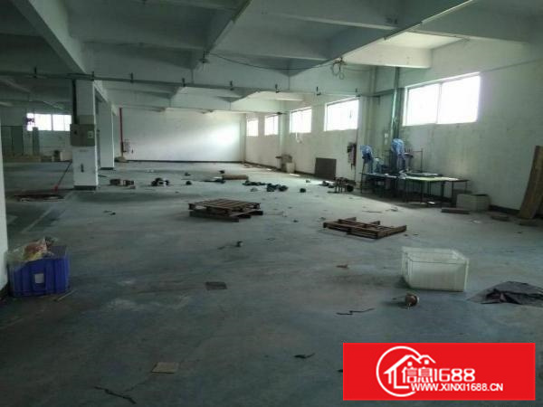 惠州大亚湾新出独栋标准厂房17000平方，精装修