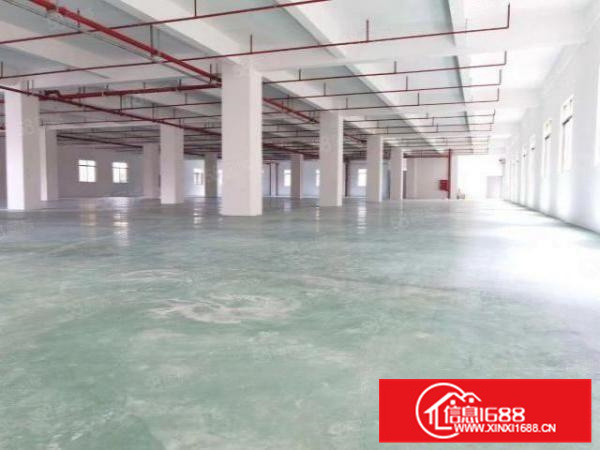 金沙洲广佛出口12元园区楼层无公摊厂房3000方可分租带环评