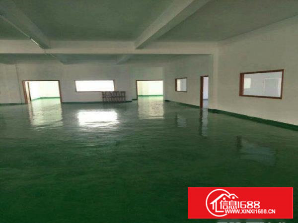 塘厦高速口附近科苑城楼上750平方，精装修带地坪漆