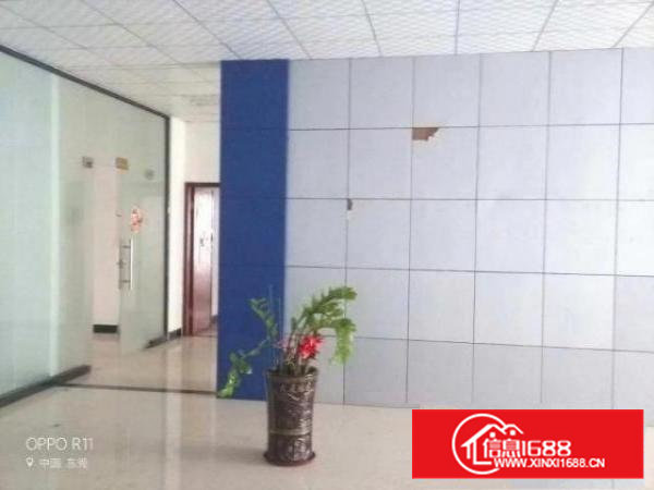 沙井107国道边独院1-3层各1000平米无公摊大小分租