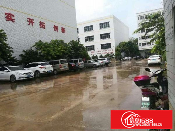 惠州市高新企业厂房出租36000平方