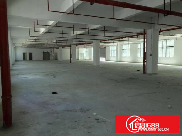 惠州新圩长布有独栋厂房出租！