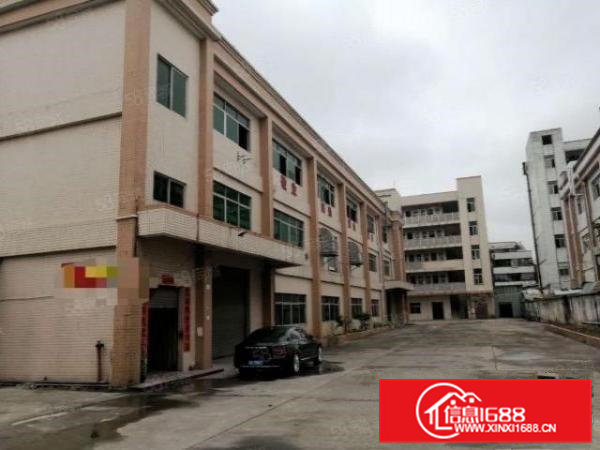 横沥镇原房东独院13层5000平招租，空地大，形象好