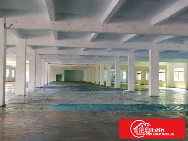 标准厂房，园区空地大