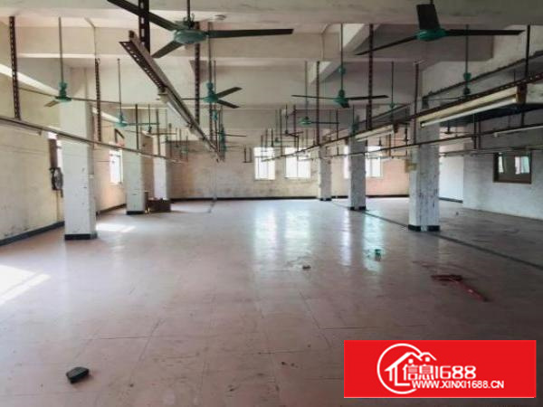 圆山大道边上的小厂房