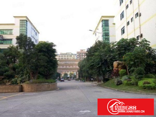 大浪高薪科技园，整层3000平厂房，豪华装修出（可分租）