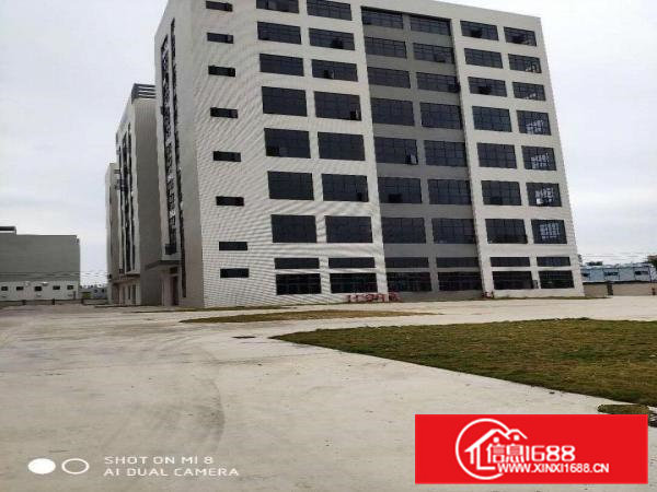 大朗新出工业区800平起租，带环评全新工业区厂房，高7米