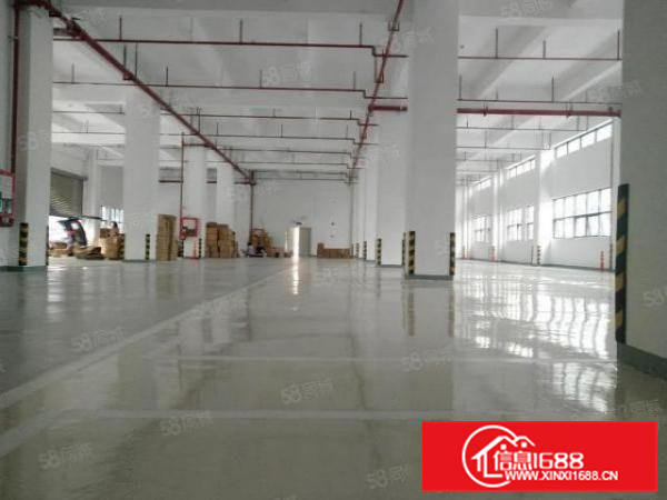 独门独院，证件齐全，伦教标准厂房2000方，交通方便，电大