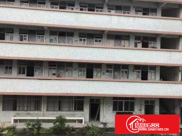 惠阳新墟独门独院三层每层2000方整栋出租可分租