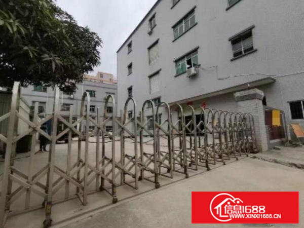 业主实际面积出租林村600平米独院一楼厂房，设备注塑仓库