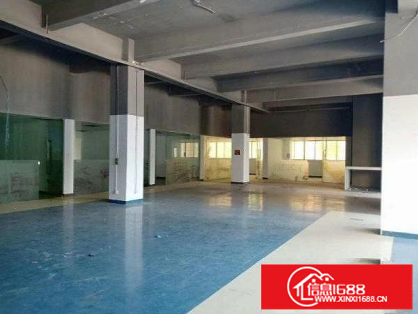 出租龙岗区同乐原房东一楼厂房1100平米带精装修