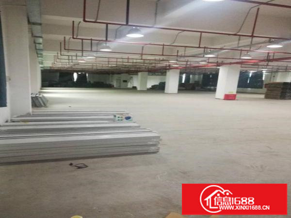 大工业区二楼1100平米厂房出租，有红本，空地大