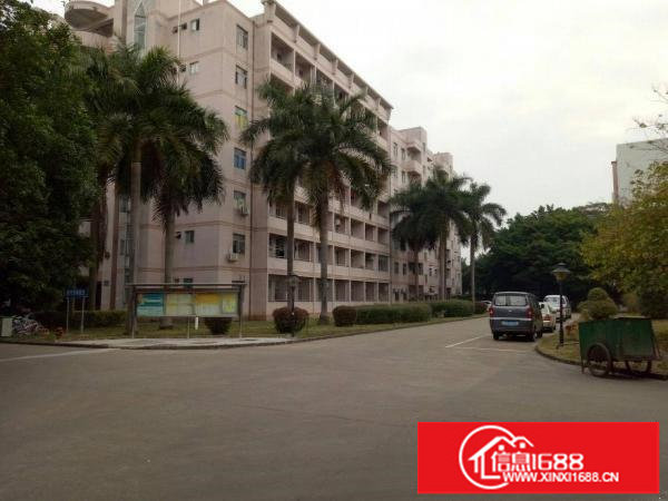 厂房急租龙岗同乐原房东带装修2楼850平米