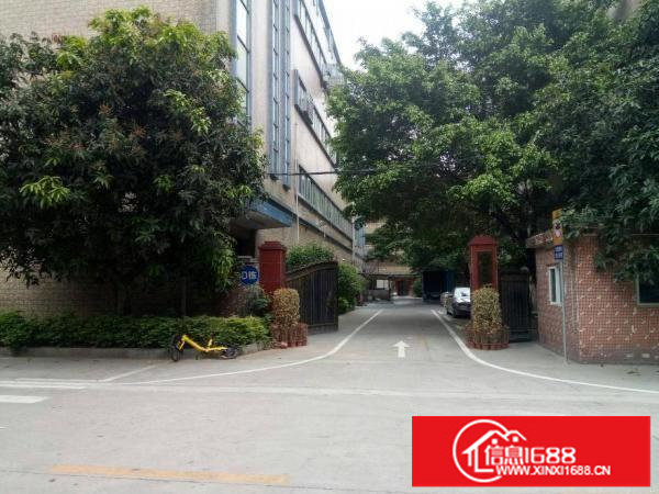 观澜樟坑径新原房东1500平精装厂房出租