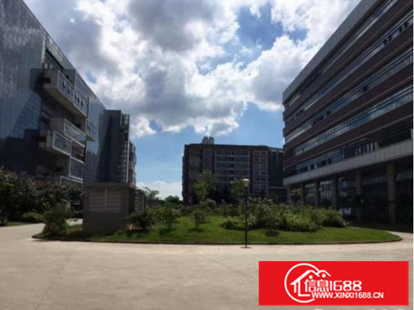 新出楼上带红本可做医疗厂房2000平出租