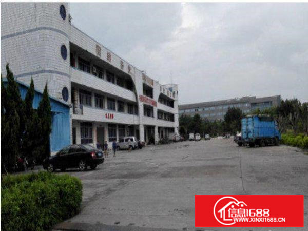 常平天鹅湖新出二楼厂房800平方现成办公装修