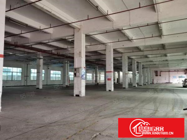 寮步镇药勒工业区原房东分租楼上整层1800平方，有消防喷淋，